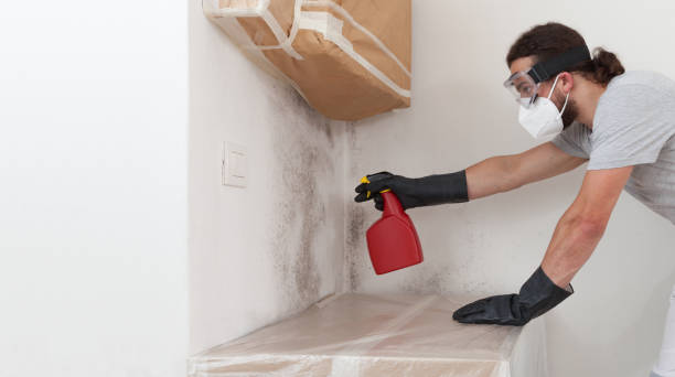 Professional Bathroom Mold Removal technician working in Jackson, NC