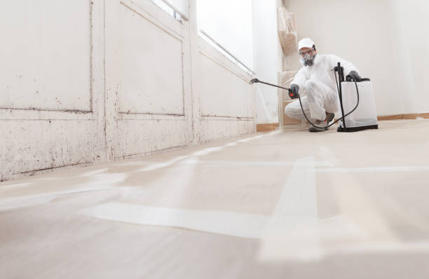 24/7 Emergency Bathroom Mold Removal experts in Jackson, NC