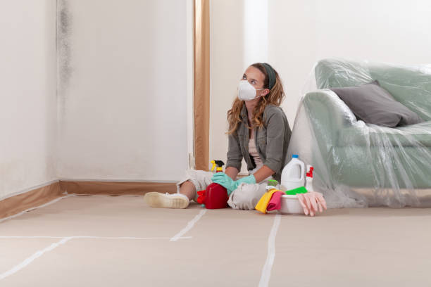 Reliable Bathroom Mold Removal contractor in Jackson, NC by 24 Hour Mold Removal