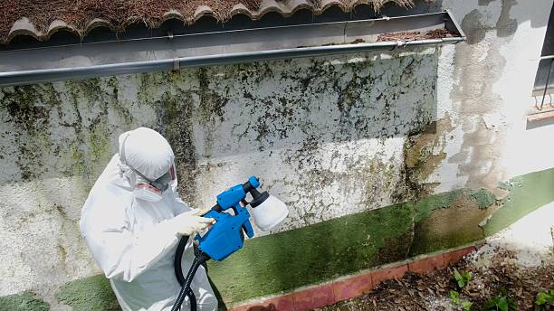 Top rated local Bathroom Mold Removal specialists in Jackson, NC